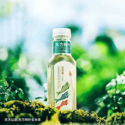 东方树叶